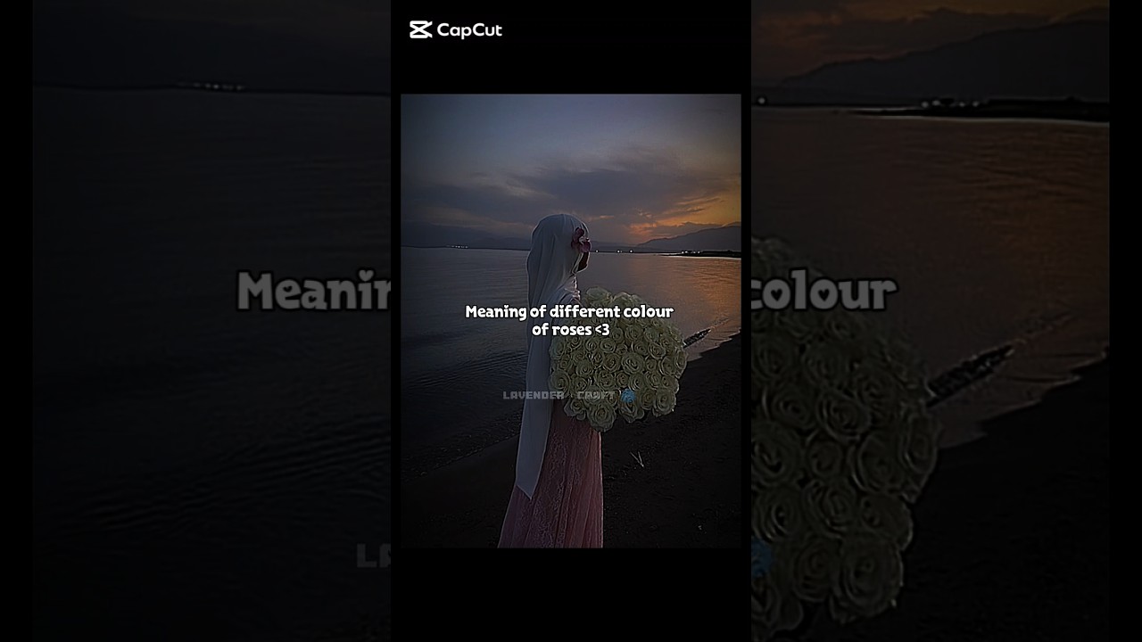 Meaning of different colour of roses 🌹💖. 