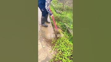 Ide Cerdas Sederhana 🤯 Alat Unik Ini Bikin Saluran Air Mampet Jadi Bersih Kilat Wajib Dicoba #shorts