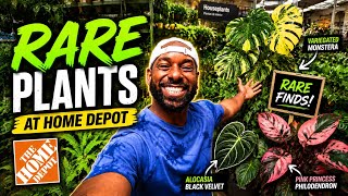 You Won’t Believe These RARE Plants at Home Depot… (Episode 5) !! 