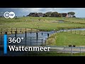 #360° Video: Wattenmeer | DW Reise