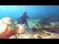 Money & Rare GOLD CROWN Found BURIED Underwater!! Beach CLOSED!!