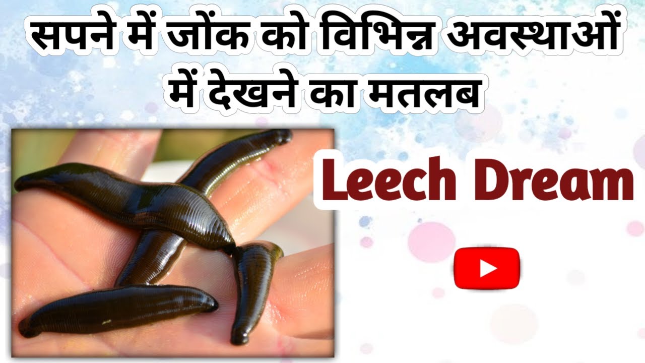 सपने में जोंक को विभिन्न अवस्थाओं में देखने का मतलब । Leech Dream Interpretation