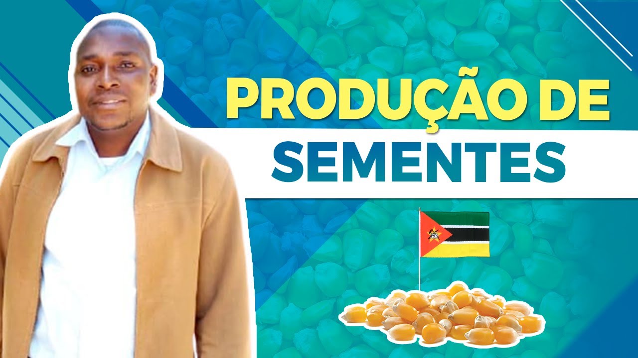 Cuidados na Produção de Sementes em Moçambique - Binaiss Castiano