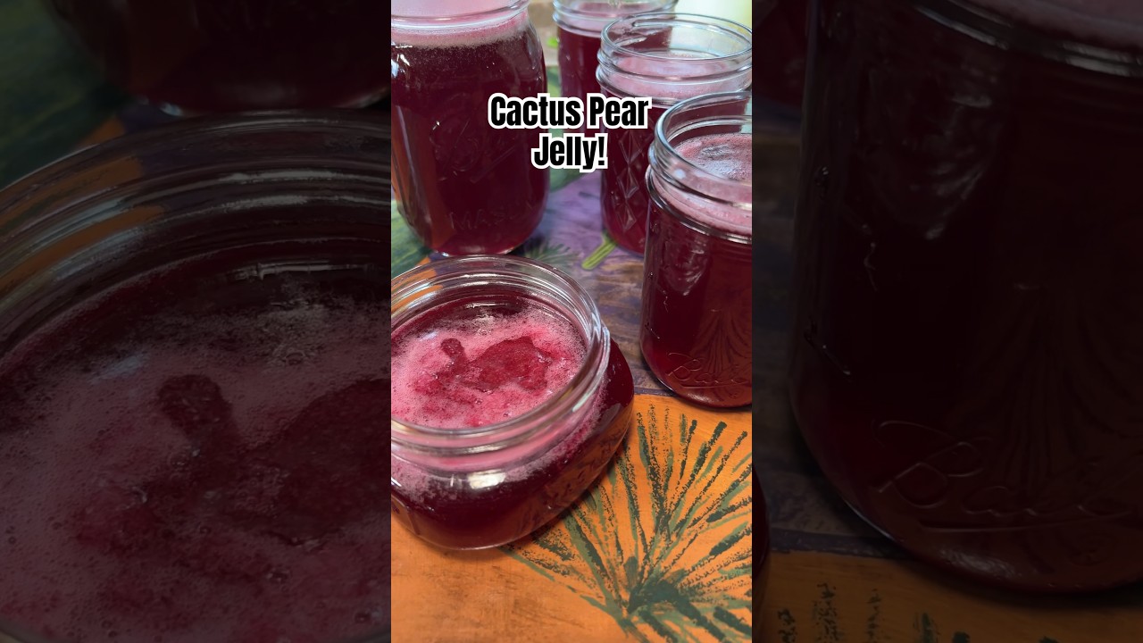 Prickly Pear Jelly Recipe