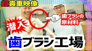 歯ブラシ工場に潜入しました！