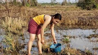 Fishing Daily Near Village