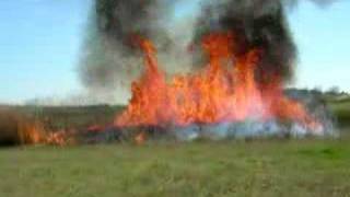 2008 Switchgrass Burn (Starkville, MS)
