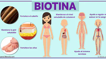 ¿Qué aporta la biotina a su rostro?