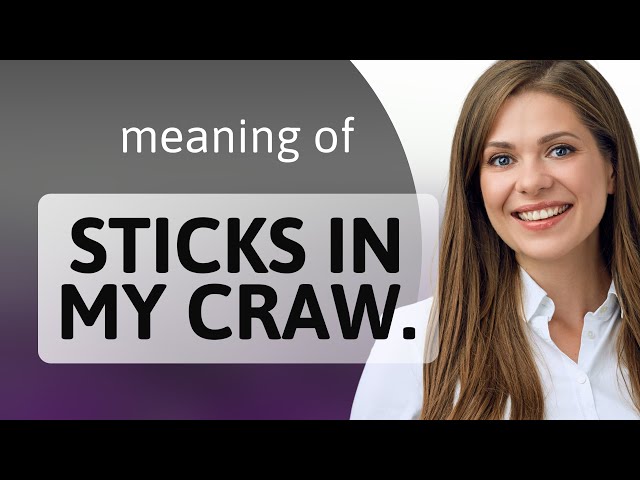 Understanding Sticks in My Craw: A Deep Dive into English Idioms 