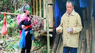 Download Lagu Het zweet van een alleenstaande moeder en haar kippenkudde: het begin van hoop voor Ly Tu Vinh MP3