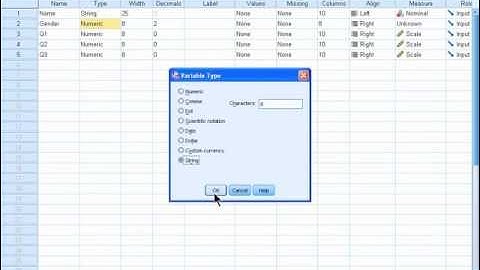 SPSS 19 Training : Defining a Variable Type