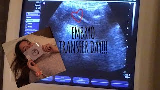 WAIT- CAN THE EMBRYO FALL OUT?! | *LIVE* Embryo Transfer