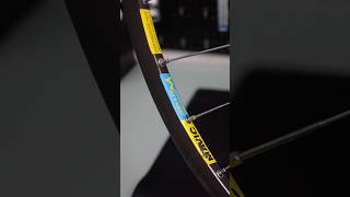 Wheeler Part 3 - Mavic Open 4 CD clean