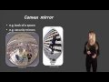 Curved Mirrors Quiz