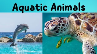Learn The Names Of Aquatic Animals! | Tiny Fun Learning