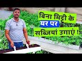 Grow vegetables at home without soil         