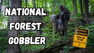 Public Land Gobbler | Late Season Textbook Turkey Hunt