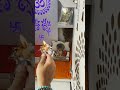 #morning #morningprayer #krishna #home #hometemple #shorts