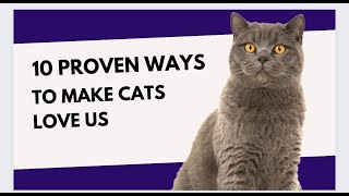 10 proven ways to make cats love us #catlove #dothis #catbelly by Cat Supplies 53 views 12 days ago 5 minutes, 30 seconds
