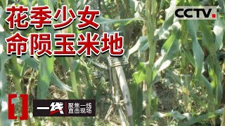 《一线》玉米地奸杀案！16岁花季少女裸死玉米地 全身衣服被扒光 20220322 | CCTV社会与法