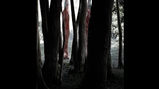 Somewhere in the forest viral video