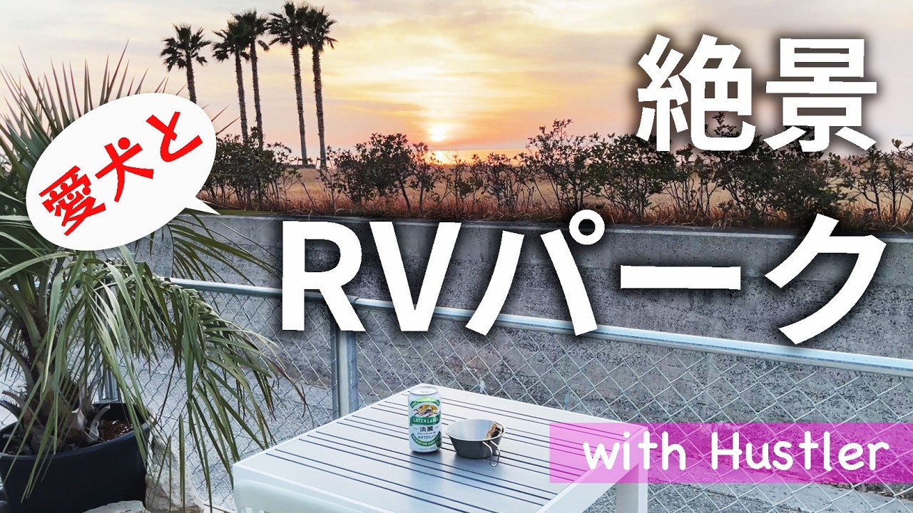 【車中泊】RVパーク BEACH FRONT SAKAIで50代おひとりさま愛犬と車中泊