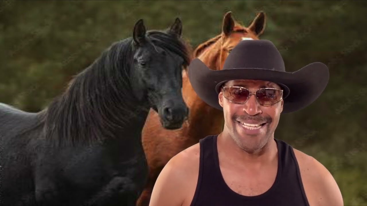 2 Horses - COWBOY TAP