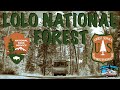 Lolo National Forest Camping, Idaho & A Surprise Guest!