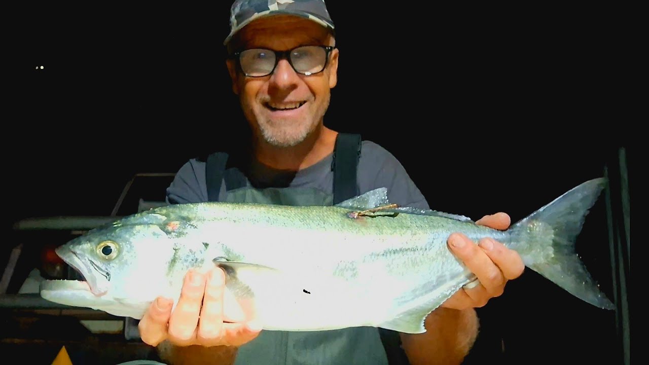 Bluefish on the Barbie - YouTube