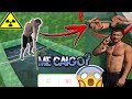 FORMAS de CRUZAR una PISCINA 🤯[HACIENDO PARKOUR]