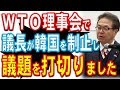 かの国の勝手な採決を議長が制止し打ち切っていた模様