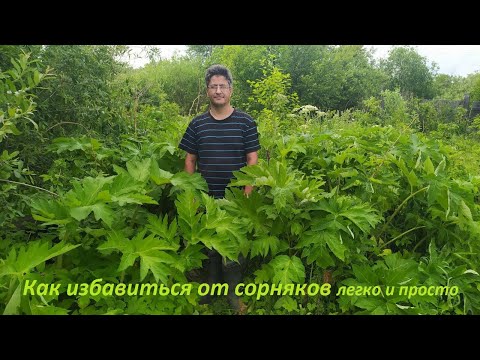 КАК ИЗБАВИТЬСЯ ОТ