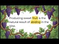 LL08 Lessons from the Vine