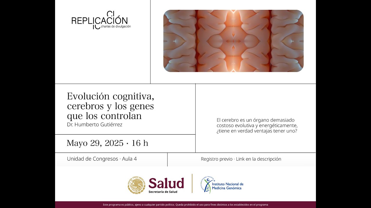 Replicación | Evolución cognitiva, cerebros y los genes que los controlan
