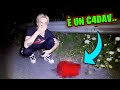 HO TROVATO UN CADAVERE MENTRE GIOCAVO A RANDONAUTICA!!