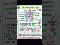 ❤#The human heart #working of heart #knowledge #bio #all govt exam gk #uppolice #neet #viral #shorts