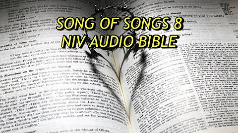 SONG OF SONGS 8 NIV AUDIO BIBLE(with text)