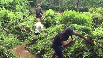 Lễ cúng giọt nước 2017...