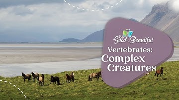 Vertebrates: Complex Creatures | Kingdoms and Classification | The Good and the Beautiful