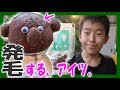 【植レポ】毛が生えてくるアイツ、ヘアラボ 来ました～！（水耕栽培 ミニトマト＆ヘアラボ hair LABO）