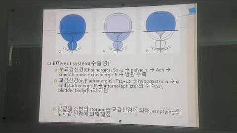 [부산재활병원] 배뇨장애에 대한 접근_교육영상