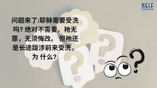 第四天 | 2026年8月10日 | 星期一 (成人)