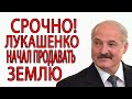 Экстренно! Попытка Лукашенко РАЗВЕСТИ избирателей Беларуси. В расход пошла белорусская земля