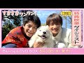 【第2弾🐾特典映像ダイジェスト公開🐶】岸優太 主演、浮所飛貴 出演『すきすきワンワン！』Blu-ray & DVD BOX 8月30日(水)発売！