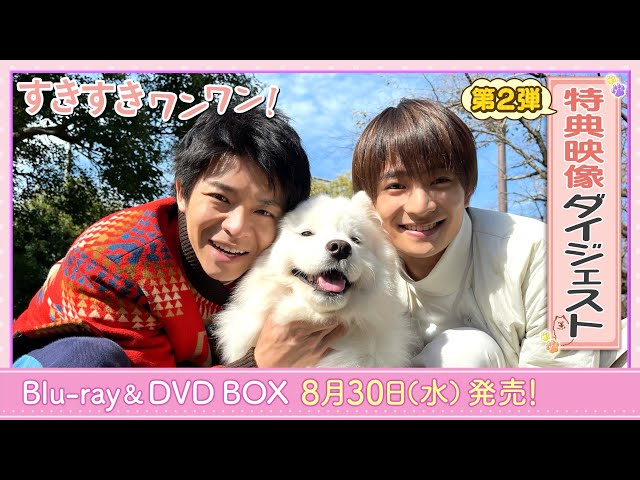 岸優太 主演 ドラマ すきすきワンワン！ Blu-ray BOX