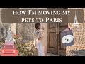 HOW TO GET YOUR PETS A PASSPORT! TRAVELING TO EUROPE WITH A DOG &amp; CAT | Cost, Covid Rules, Documents