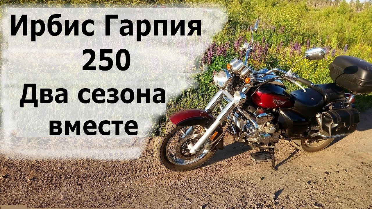 Двигатель ирбис 250