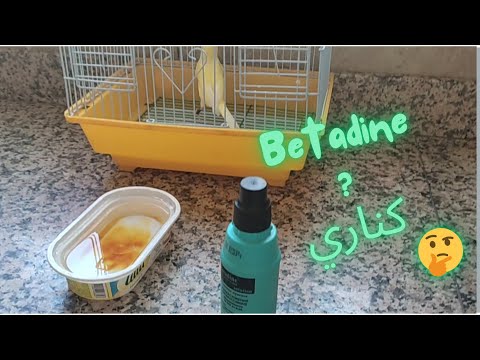 فوائد البيتادين  لطيور الكناري لرش و الاستحمام