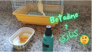 فوائد البيتادين (betadine)لطيور الكناري لرش و الاستحمام