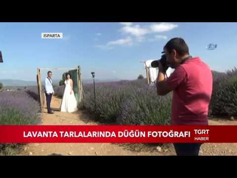 Gelin Ve Damatların Fotoğraf Çekimi İçin Yeni Tercihi Artık Lavanta Bahçeleri